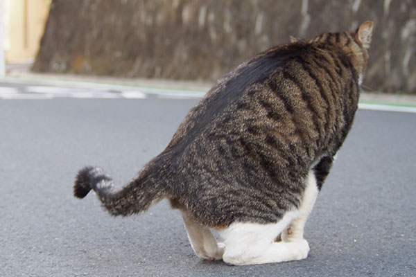 目の前に　リオ