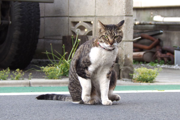 そっちか　リオ