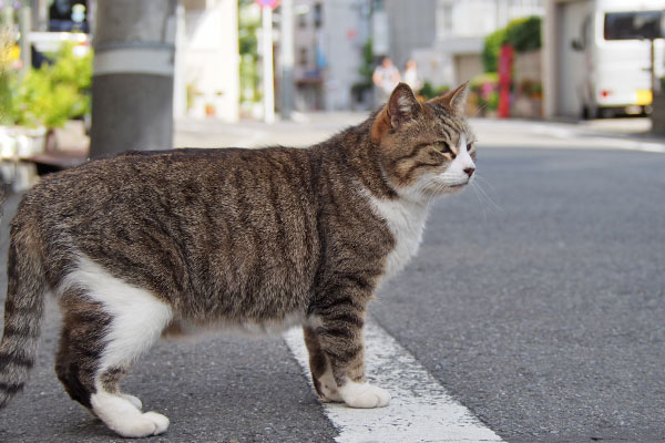 サーヤ　目的地を見る