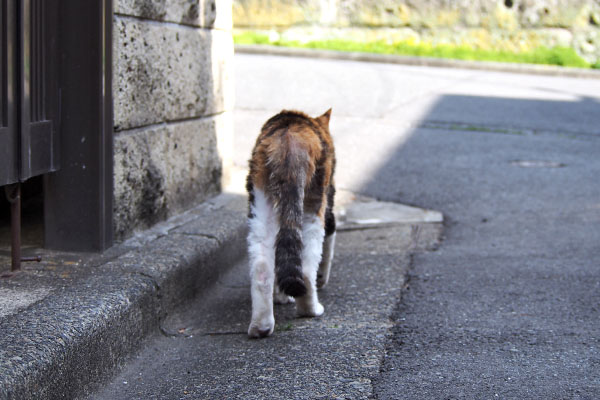 オトワ　お出掛け