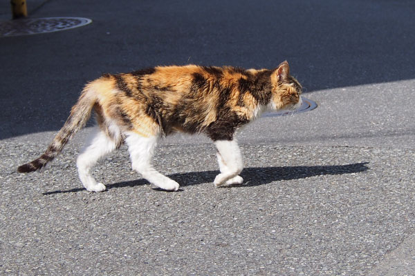 オトワ　いってらっしゃい