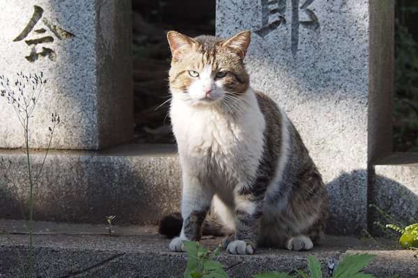 レオ太　まっすぐ見る