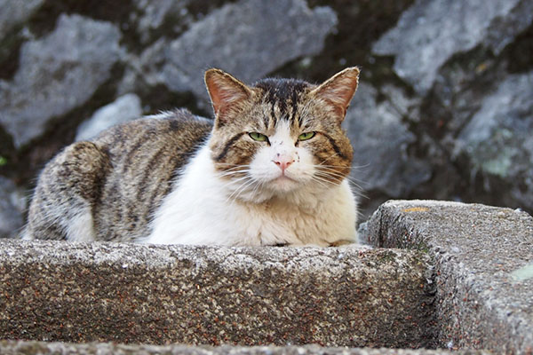 レオ太　細い目もする