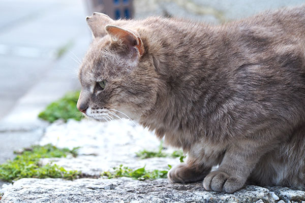 グリ　お代わりを待つ