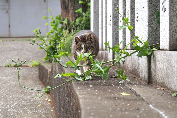 雫　来てる１