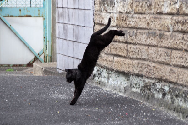 オブシ　シュタと着地