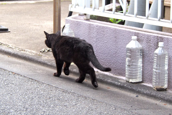 オブシ　行ってしまう