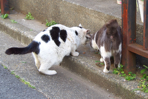 食べるお尻　ちびと坊３