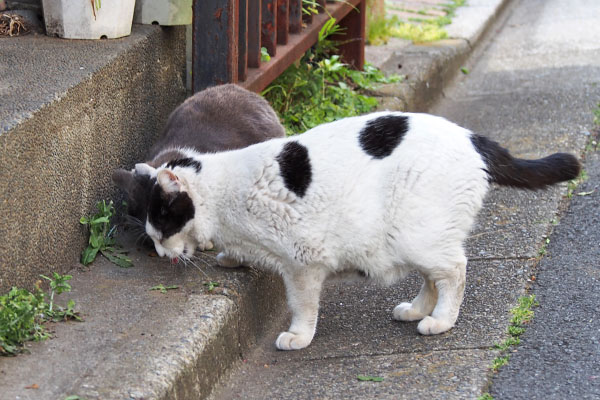 食べる再度　ちびと坊２