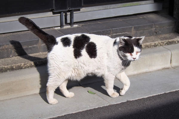 太陽の下の坊　くるっと