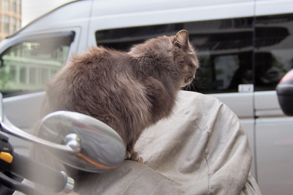 バイクにオン　マフ