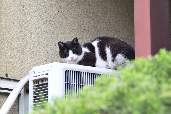 ニコル　向こう側室外機