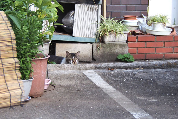 段差からチラ見　オンブレ