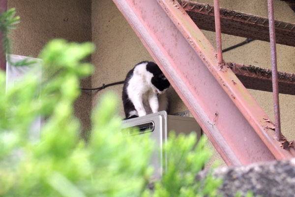 給湯器上　ニコル