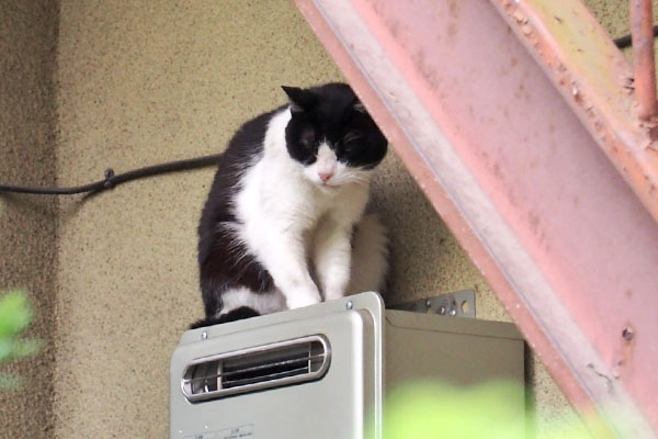 給湯器上　ニコル　ズーム