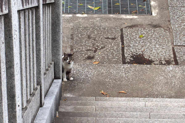 下で待つ　雫