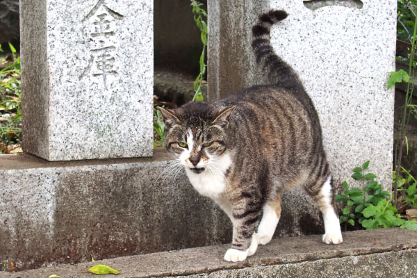 移動した　雫