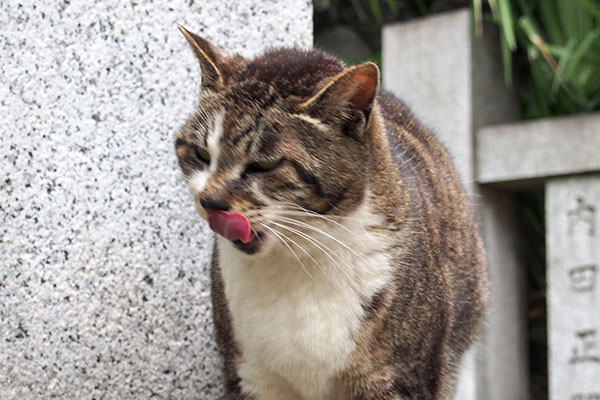 ぺろりん　雫