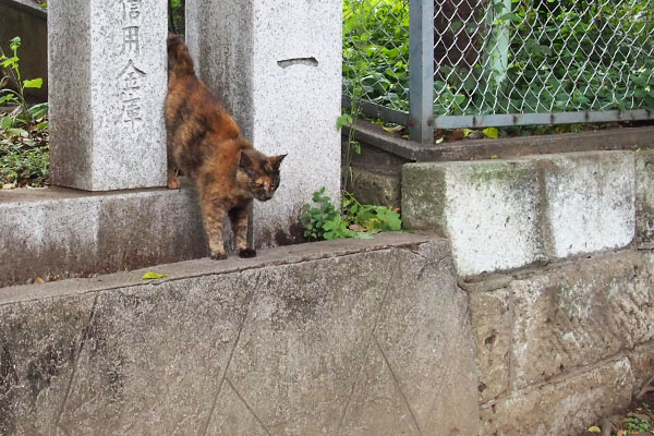 雫の右からクロテ登場