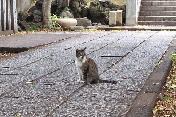 雫　やっぱり近くに