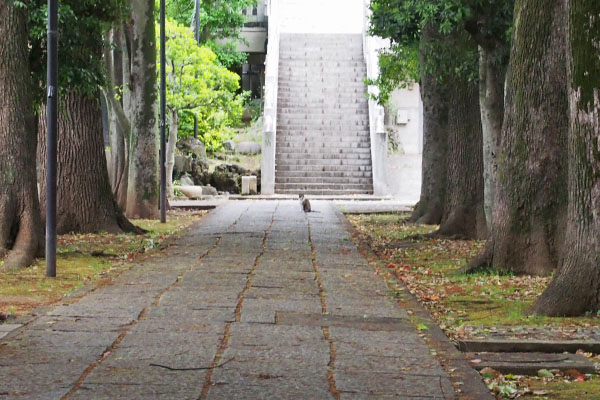 雫　後追い無しで遠くに