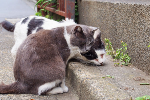 坊　ぐいぐい食べる