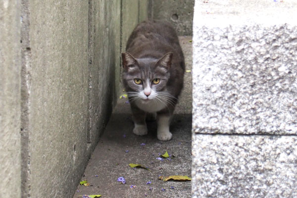 食べるお口で　レックス