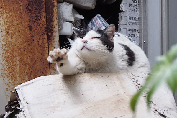 坊　右手伸び～　かわいい