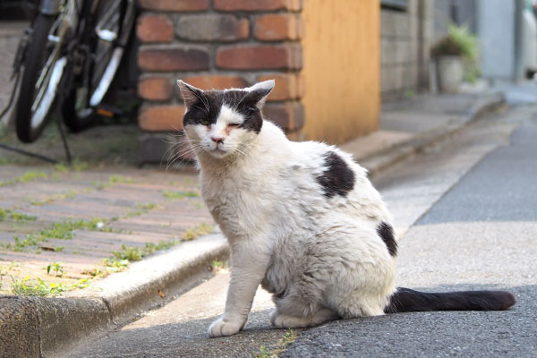 こっちを見る坊