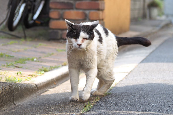 坊　行くにゃ