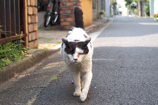 坊　ずんずん来る