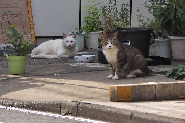 リリとサーヤ　ふたりに見送られ