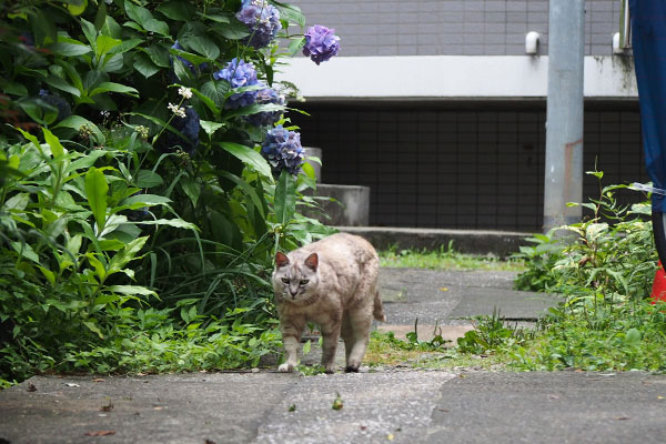 銀　一度左に寄って