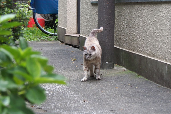 ちょっと歩いて　銀