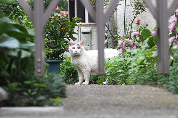 ちょっと考える　ジュリ