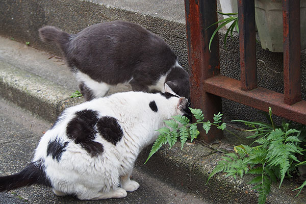 坊　ぐいぐい