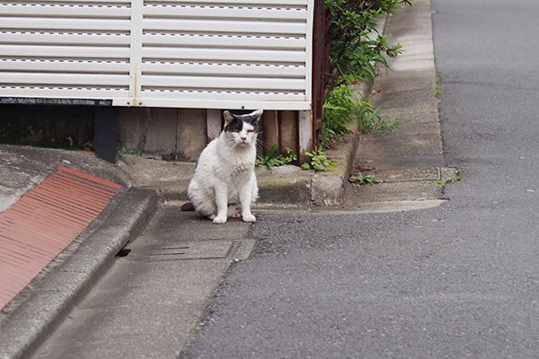 見送ってくれている坊