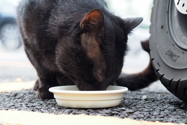 食べるティア　前アップ