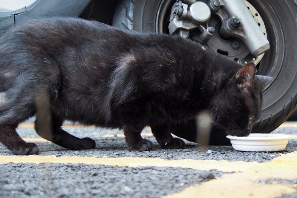 食べる　ティア