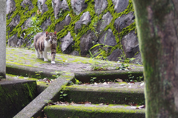 雫　ハッとする