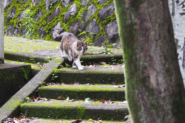 雫　来る