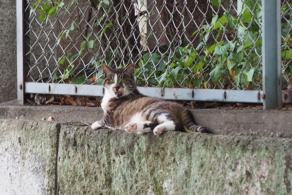 びっくり顔　雫