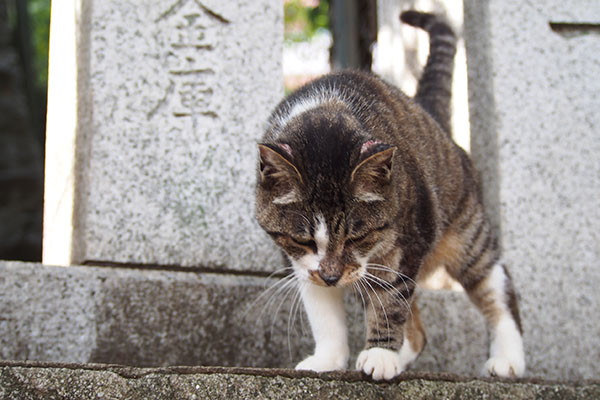 下行きますか　雫