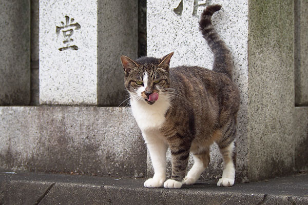 舐める準備　雫