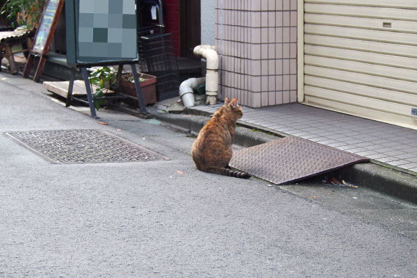 背中　ヴェル