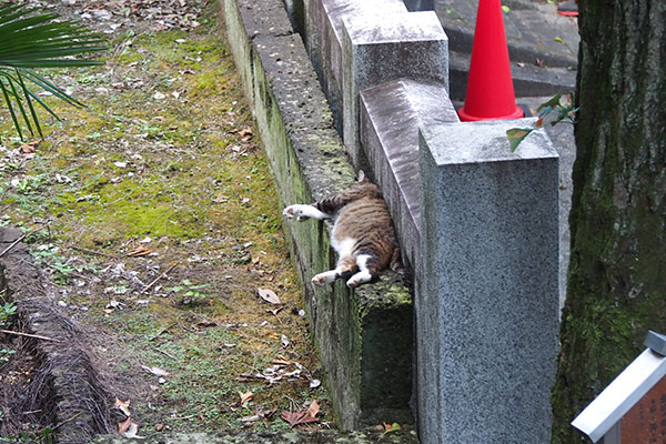 溶けてた雫　上から