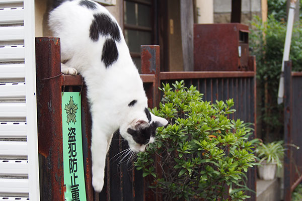 するんと　坊