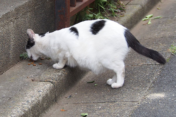 食べる　坊