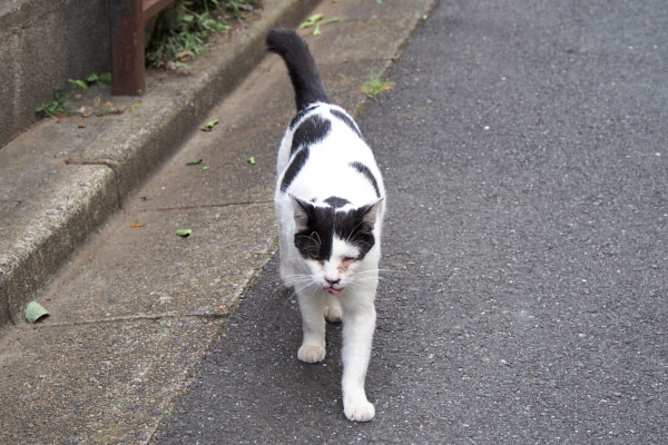 ついて来る　坊