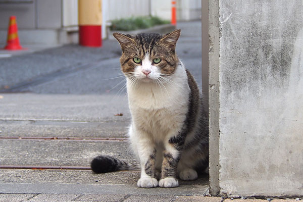 レオ太　まっすぐ見る